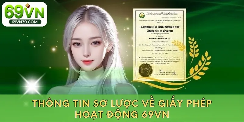 Thông tin sơ lược về giấy phép hoạt động 69VN